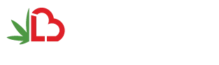 Luvbuz transparent